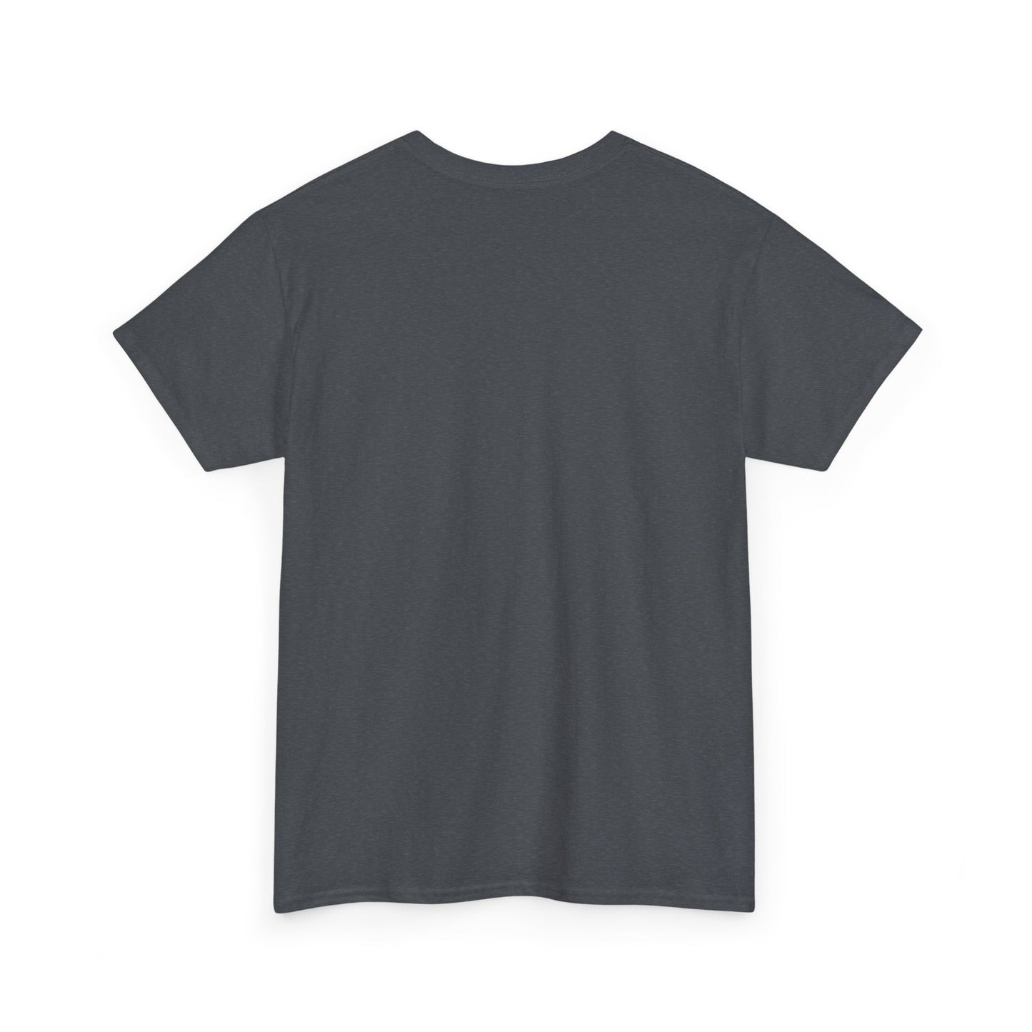 SITYA Unisex Heavy Cotton Tee