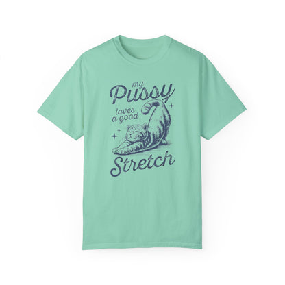 Stretch Comfort Colors Unisex T-shirt