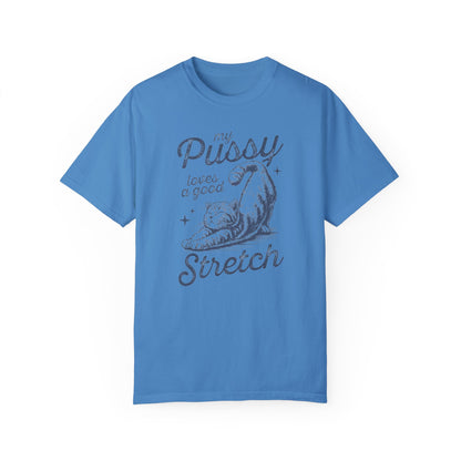 Stretch Comfort Colors Unisex T-shirt