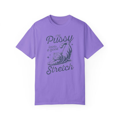 Stretch Comfort Colors Unisex T-shirt