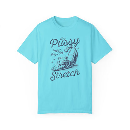 Stretch Comfort Colors Unisex T-shirt